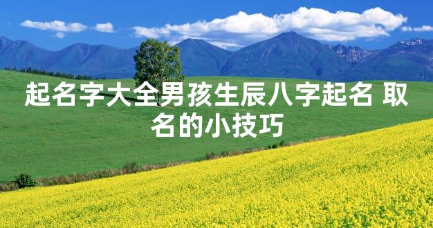 起名字大全男孩生辰八字起名 取名的小技巧